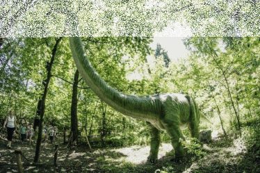 Wygraj zaproszenie do Zatorlandu, Ruda Śląśak