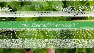 Konkurs piątkowy!