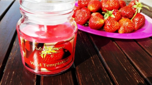 Konkurs "Wild Temptation"