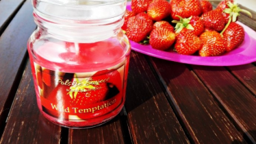 Konkurs "Wild Temptation"