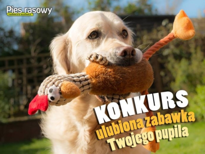 Konkurs fotograficzny "Zabawka Twojego Psa"