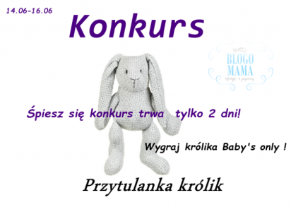 Wygraj królika przytulankę