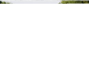 Wygraj Rower holenderski