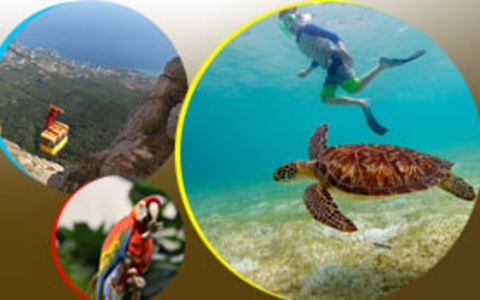 Konkurs "Wakacje w obiektywie"