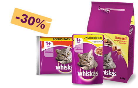 Konkurs "Kocia Radość"