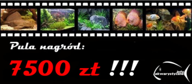 Konkurs fotograficzny 2016 - lipiec