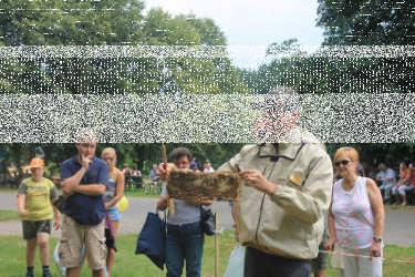 Wygraj podwójny bilet na "Dzień Miodu" w Skansenie! Ruda Śląska