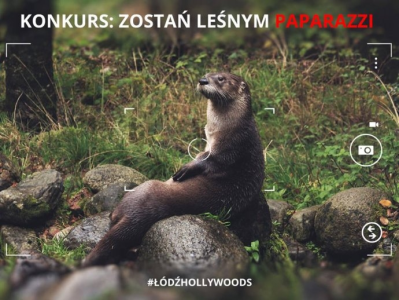 Konkurs "Zostań leśnym paparazzi"