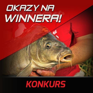 Konkurs "Okazy na Winnera"