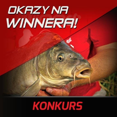 Konkurs "Okazy na Winnera"