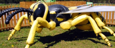 Wygraj zaproszenie do Zatorlandu, Żory