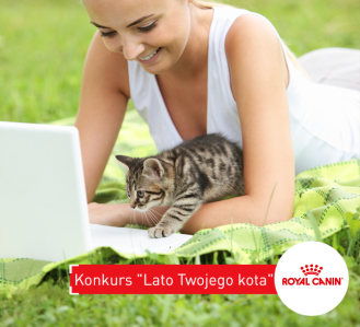 Konkurs "Lato Twojego kota"