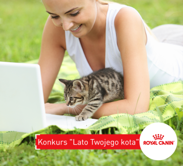 Konkurs "Lato Twojego kota"