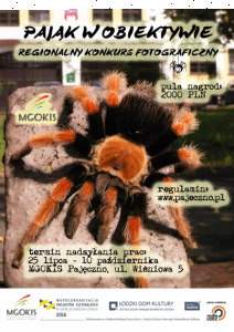 Konkurs "Pająk w obiektywie" woj. Łódzkie