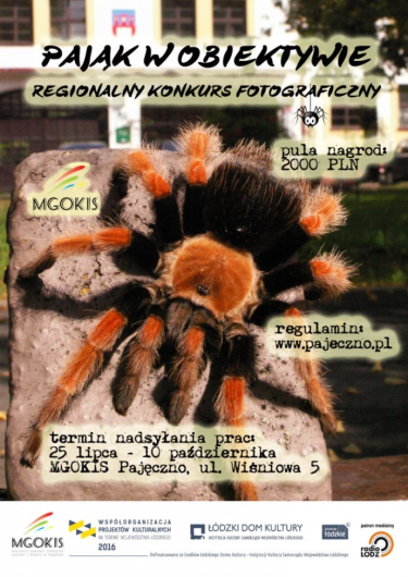 Konkurs "Pająk w obiektywie" woj. Łódzkie