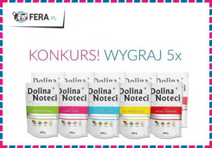 Konkurs: wygraj 5x dolina noteci