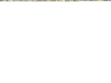 Konkurs fotograficzny "Jak spędzają wakacje pluszowe misie waszych dzieci?"