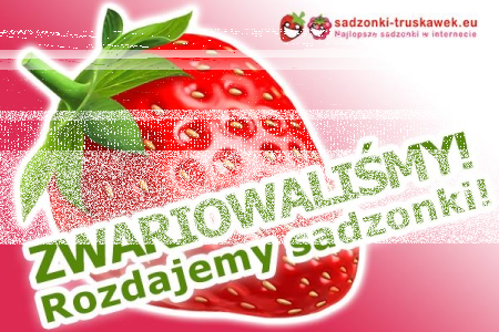 Konkurs "Zwariowaliśmy i postanowiliśmy rozdać DARMOWE sadzonki truskawek"