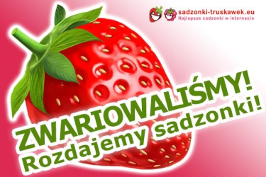 Konkurs "Zwariowaliśmy i postanowiliśmy rozdać DARMOWE sadzonki truskawek"