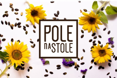 Konkurs "Smakowity pomysł na sałątkę z..." III edycja