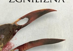 Zgniły konkurs do godz. 20:00