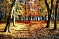 Konkurs "Cztery pory roku w Tczewie"