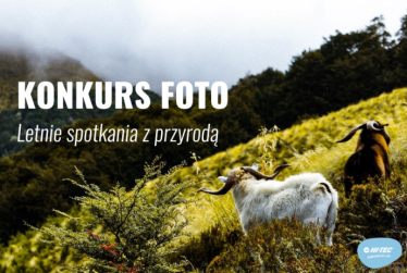 Konkurs fotograficzny "Letnie spotkania z przyrodą" do godz. 12:00