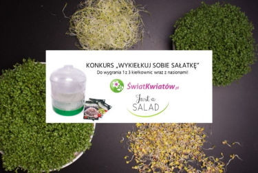 Konkurs "Wykiełkuj sobie sałatkę"