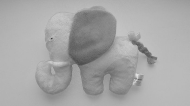 Konkurs "Ajamisie – zgadnij kolor"