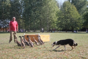 Wygraj książkę "Grzechu warta"