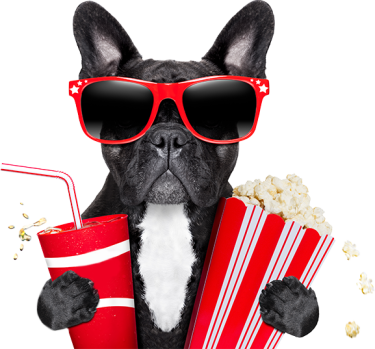 Załóż konto SMART, odbierz bilet do Multikina (500 szt.)