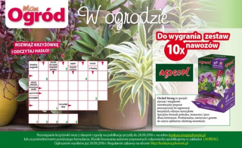 Konkurs "W ogrodzie"