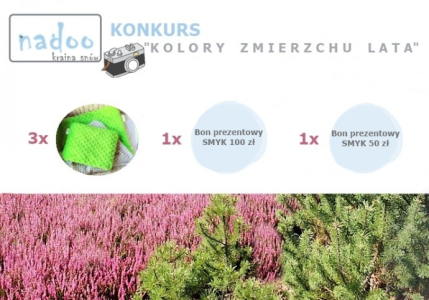 Konkurs "Kolorowy zmierzch lata"