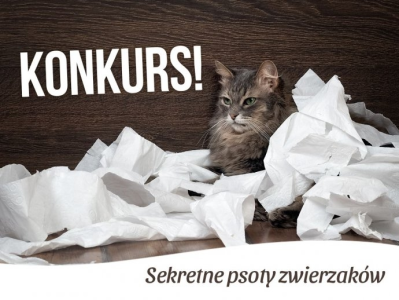 Konkurs footograficzny "Sekretne psoty zwierzaków" Janki