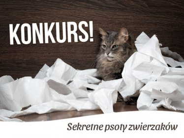 Konkurs footograficzny "Sekretne psoty zwierzaków" Janki