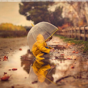 Konkurs "Jesień w fotografii dla dzieci" Poznań