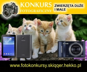 Konkurs "Zwierzęta duże i małe"