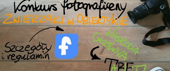 Konkurs "Zwierzaki w obiektywie"