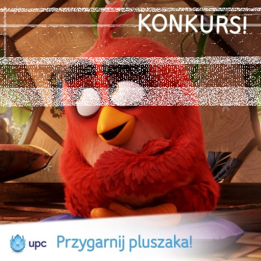Konkurs "Przygarnij pluszaka"