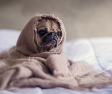 Wygraj kubek za ciepłe słowo