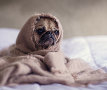 Wygraj kubek za ciepłe słowo