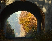 Konkurs "Cztery pory lasu"