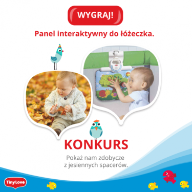 Konkurs fotograficzny "Jesienne zdobycze" do godz. 12:00