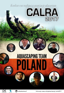 Wygraj cudowne włoskie botki