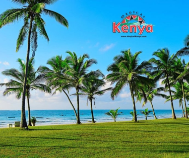 Konkurs "Ile osób odwiedziło z TUI Poland Kenię w sierpniu 2016?"