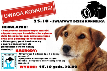 Konkurs "Zrób zdjęcie ze swoim kundelkiem i wygraj obrożę"