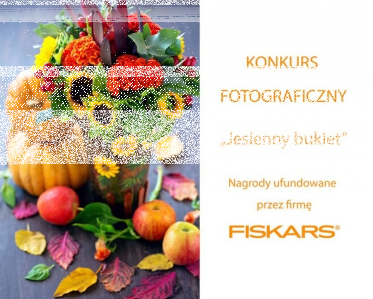 Konkurs fotograficzny "Jesienny bukiet"
