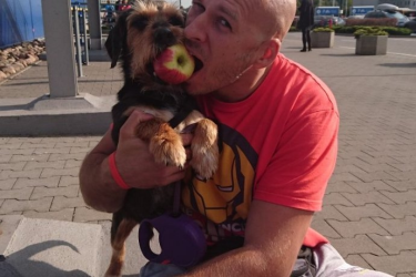 Konkurs "Psie zaprzęgi"