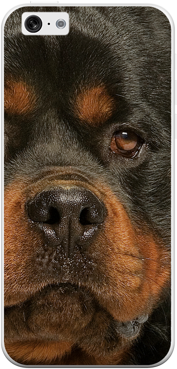 Kup karmę Royal Canin i odbierz etui na telefon