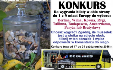 Konkurs turystyczny z ECOLINES